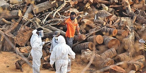 ಸಂಗ್ರಹ ಚಿತ್ರ