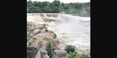 ಸಂಗ್ರಹ ಚಿತ್ರd