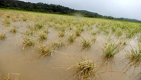 ಸಾಂದರ್ಭಿಕ ಚಿತ್ರ