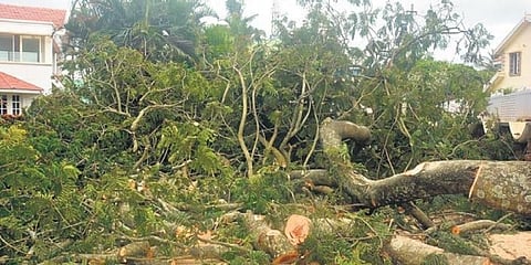 ಸಂಗ್ರಹ ಚಿತ್ರ