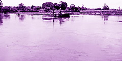 ಮಾರ್ಕಂಡೇಯ ನದಿ