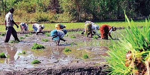 ಸಾಂದರ್ಭಿಕ ಚಿತ್ರ