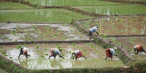ಸಂಗ್ರಹ ಚಿತ್ರ