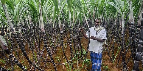 ಸಂಗ್ರಹ ಚಿತ್ರ