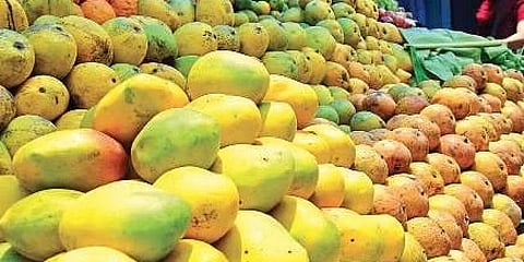ಸಂಗ್ರಹ ಚಿತ್ರ