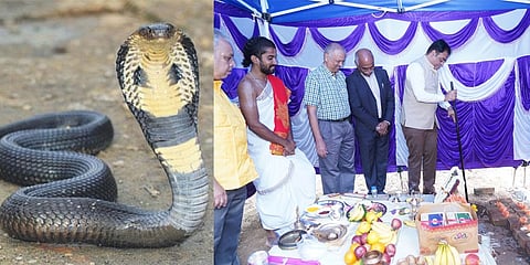 ಪ್ರತಿವಿಷ ಉತ್ಪಾದನಾ ಕೇಂದ್ರಕ್ಕೆ ಶಂಕುಸ್ಥಾಪನೆ