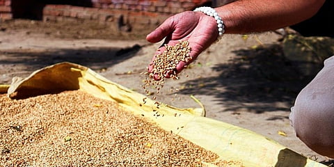 ರಾಷ್ಟ್ರೀಯ ಆಹಾರ ಭದ್ರತಾ ಕಾಯ್ದೆ