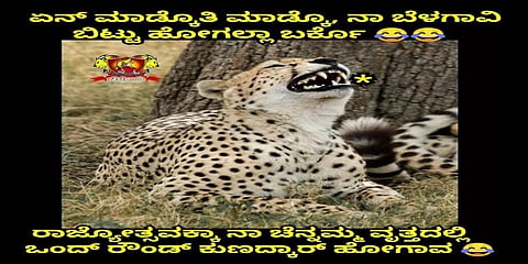 ಚಿರತೆಗೆ ಸಂಬಂಧಿಸಿದ ಮೀಮ್ಸ್