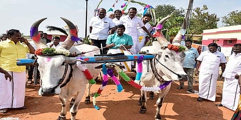 ಸೂರ್ಯ ದೇವನು ಮಕರ ರಾಶಿಗೆ ಪ್ರವೇಶಿಸುವ ಸುಸಂದರ್ಭ ಮಕರ ಸಂಕ್ರಾಂತಿ. ಇಲ್ಲಿಂದ ಉತ್ತರಾಯಣ ಪುಣ್ಯಕಾಲ ಶುರುವಾಗುತ್ತದೆ. ವರ್ಷದ ಮೊದಲ ಹಬ್ಬ. ಮಕರ ಸಂಕ್ರಾಂತಿ ಹಬ್ಬ ದಕ್ಷಿಣ ಭಾರತದಲ್ಲಿ ತಮಿಳು ನಾಡಿನವರಿಗೆ ಅತ್ಯಂತ ವಿಶೇಷ, ಇದನ್ನು ಅವರು ಪೊಂಗಲ್ ಎಂದು ಕರೆಯುತ್ತಾರೆ. ಈ ದಿನ ತಮ್ಮ ಹಸು, ಎತ್ತುಗಳನ್ನು ಚೆನ್ನಾಗ