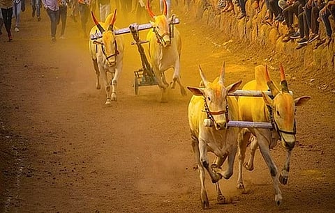 ಸಂಗ್ರಹ ಚಿತ್ರ