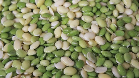 ಸಾಂದರ್ಭಿಕ ಚಿತ್ರ