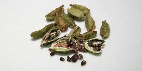 ಏಲಕ್ಕಿ