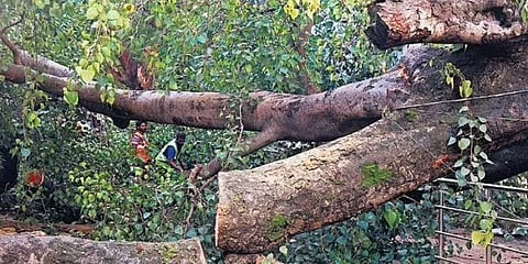 ಸಾಂದರ್ಭಿಕ ಚಿತ್ರ