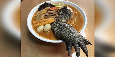 ತೈವಾನ್ ಮೊಸಳೆ ಕಾಲುಸೂಪ್