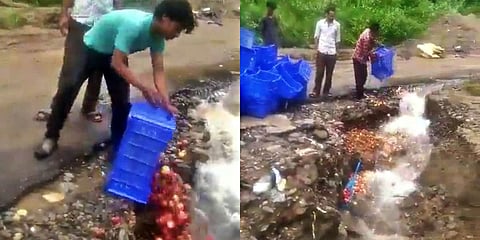 ಆ್ಯಪಲ್ ಬೆಳೆ ನದಿಗೆ ಸುರಿದು ಕಣ್ಣೀರಿಟ್ಟ ರೈತ