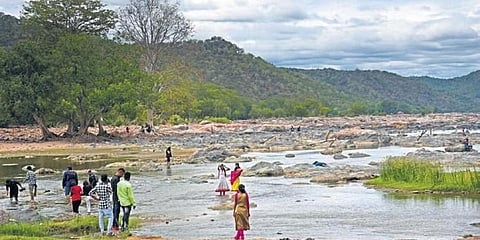 ಸಂಗ್ರಹ ಚಿತ್ರ