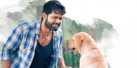 777 ಚಾರ್ಲಿ ಚಿತ್ರದ ಸ್ಟಿಲ್