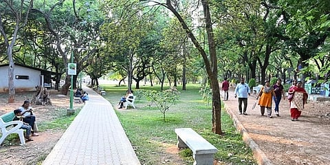 cubbon park
