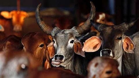 ಸಾಂಕೇತಿಕ ಚಿತ್ರ