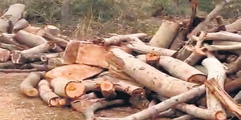 ಸಾಂದರ್ಭಿಕ ಚಿತ್ರ