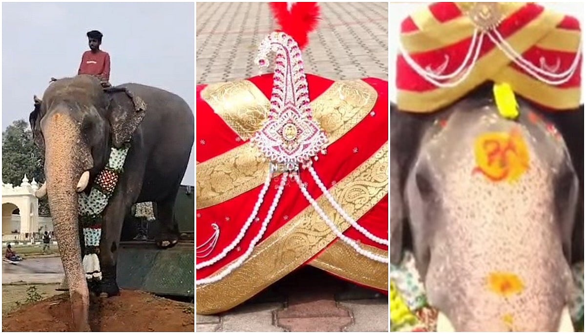 ಮೈಸೂರು ದಸರಾ: ಇಂದು ಅರಮನೆಗೆ ಅಭಿಮನ್ಯು 'ನಿಶಾನೆ ಆನೆ' ಯಾಗಿ ಎಂಟ್ರಿ