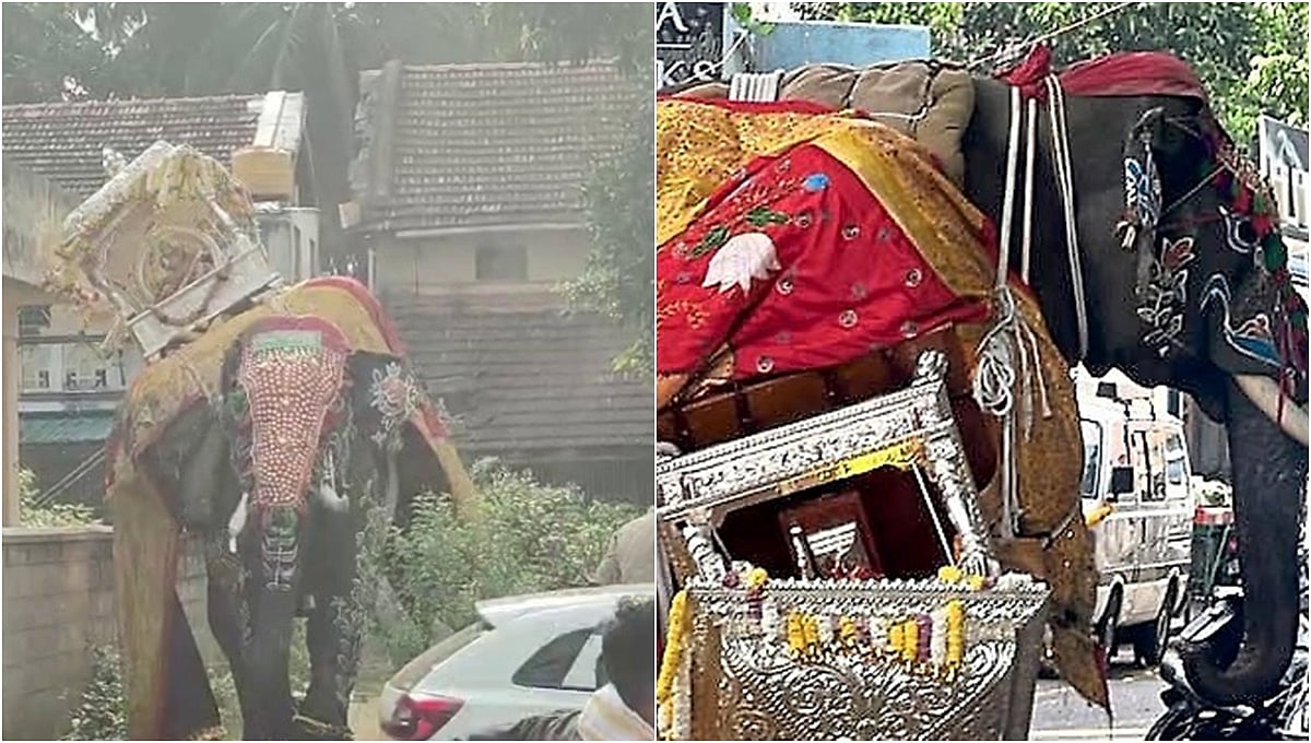ಅಂಬಾರಿ ಹೊತ್ತು ಅಡ್ಡಾದಿಡ್ಡಿ ಓಡಿದ ಆನೆ: ರೊಚ್ಚಿಗೆದ್ದ ಸೋಮಣ್ಣನ ಆಕ್ರೋಶಕ್ಕೆ ದಿಕ್ಕಾಪಾಲಾಗಿ ಓಡಿದ ಜನ, Video