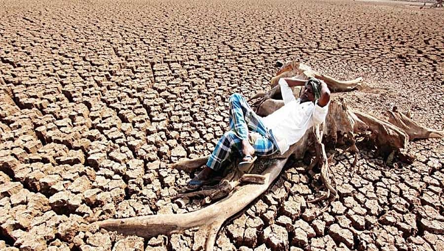 ರೈತರ ಖಾತೆಗೆ 2500 ರೂ ಬರ ಪರಿಹಾರ: 17 ಷರತ್ತು ವಿಧಿಸಿದ ರಾಜ್ಯ ಸರ್ಕಾರ; ಯಾರಿಗೆ ಸಿಗುತ್ತೆ, ಯಾರಿಗೆ ಸಿಗಲ್ಲ?