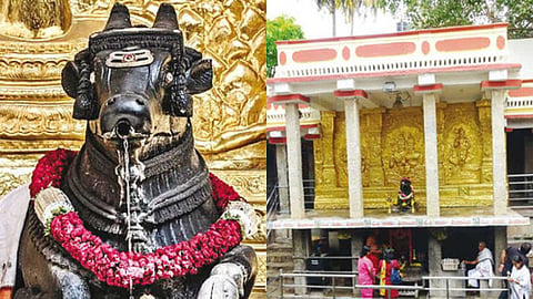 நந்தி - கோவில் தோற்றம்
