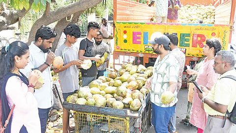 சென்னையில் இளநீர் விலை 80 ரூபாயாக  உயர்வு