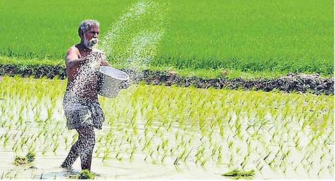 காரிஃப் பயிர்களுக்கு குறைந்தபட்ச ஆதார விலையை உயர்த்தியது மத்திய அரசு