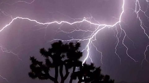 உ.பி.யில் கனமழை: 31 பேர் உயிரிழப்பு 