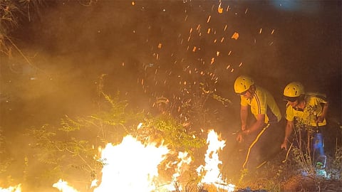உத்தரகாண்டில் பரவிய காட்டுத்தீ - கட்டுக்குள் கொண்டு வந்த மீட்புப்படை