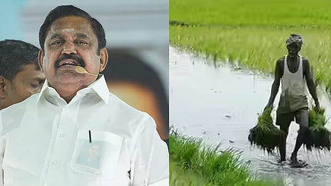விவசாயப் பயிர்க்கடன் தள்ளுபடி என்ற பெயரில் விஞ்ஞான ஏமாற்று வேலை - இபிஎஸ் சாடல்