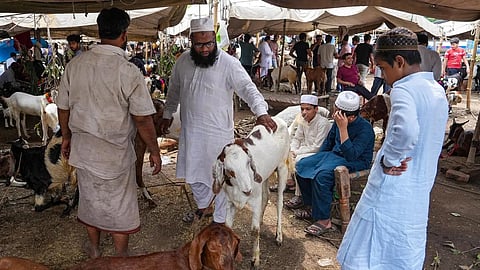 Goat prices doubled for bakrid festival