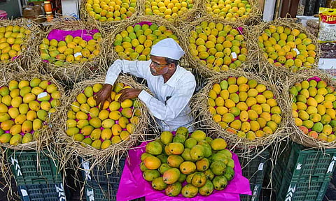 இந்திய மாம்பழ இறக்குமதிக்கு ஜப்பான் தடை!