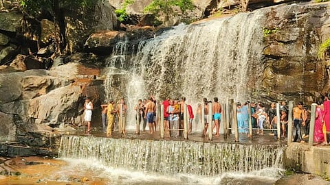 உடுமலை அருகே உள்ள திருமூர்த்தி மலை அருவிக்கு செல்ல தடை நீக்கம்- சுற்றுலா பயணிகள் உற்சாகம்