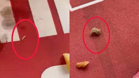 சிக்கன் பர்கரில் புழு? - உணவு பாதுகாப்புத்துறை அதிகாரிகள் சோதனை