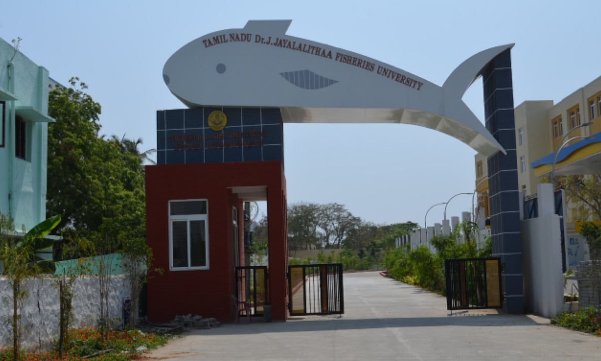 ஜெயலலிதா பல்கலை.யில் இலவச மீன்வளப் பட்டப் படிப்பிற்கான விண்ணப்ப தேதி நீட்டிப்பு! 