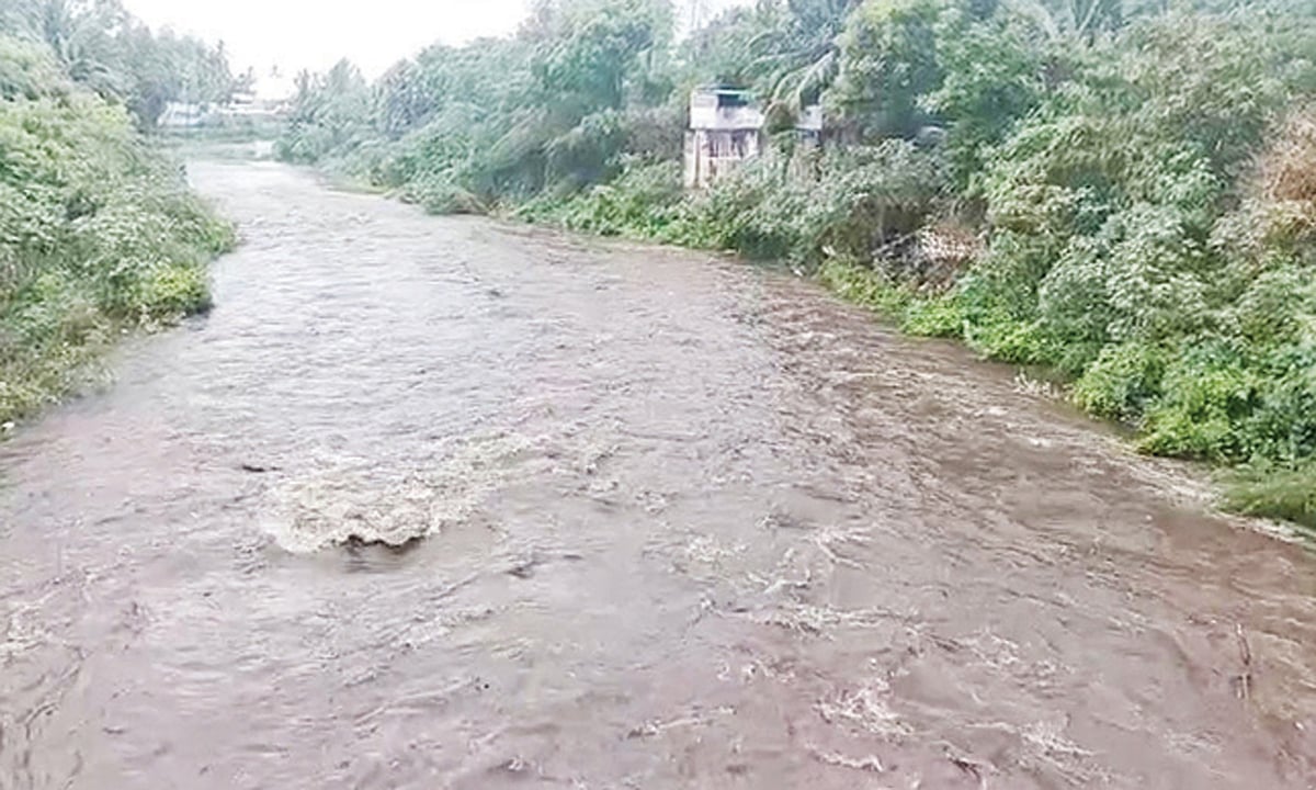 திருக்குறுங்குடியில் சாரல் மழை- நம்பியாற்றில் வெள்ளப்பெருக்கு