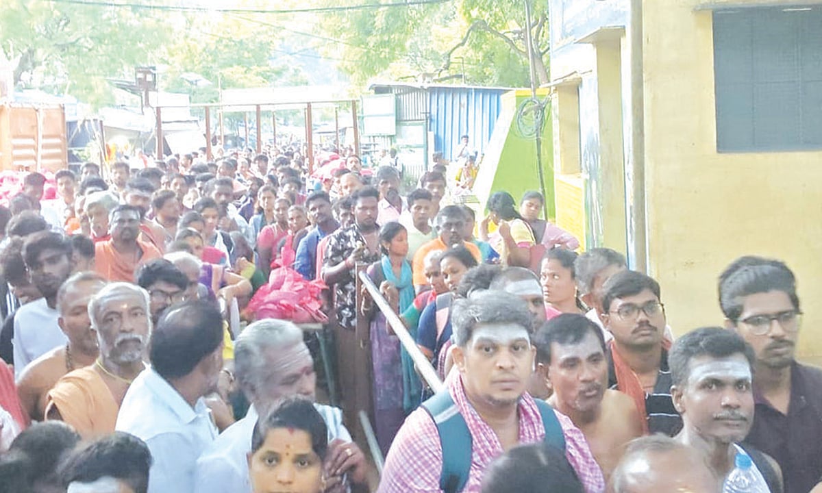 சதுரகிரி சுந்தரமகாலிங்கம் கோவிலில் வைகாசி அமாவாசையை முன்னிட்டு திரளான பக்தர்கள் மலையேறி தரிசனம்