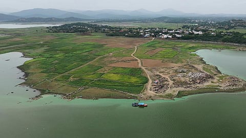 மேட்டூர் அணை நீர்த்தேக்கத்தில் பச்சை நிறமாக மாறிய தண்ணீர்