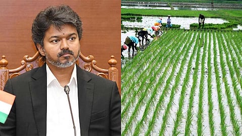 Crop - CM Vijay
