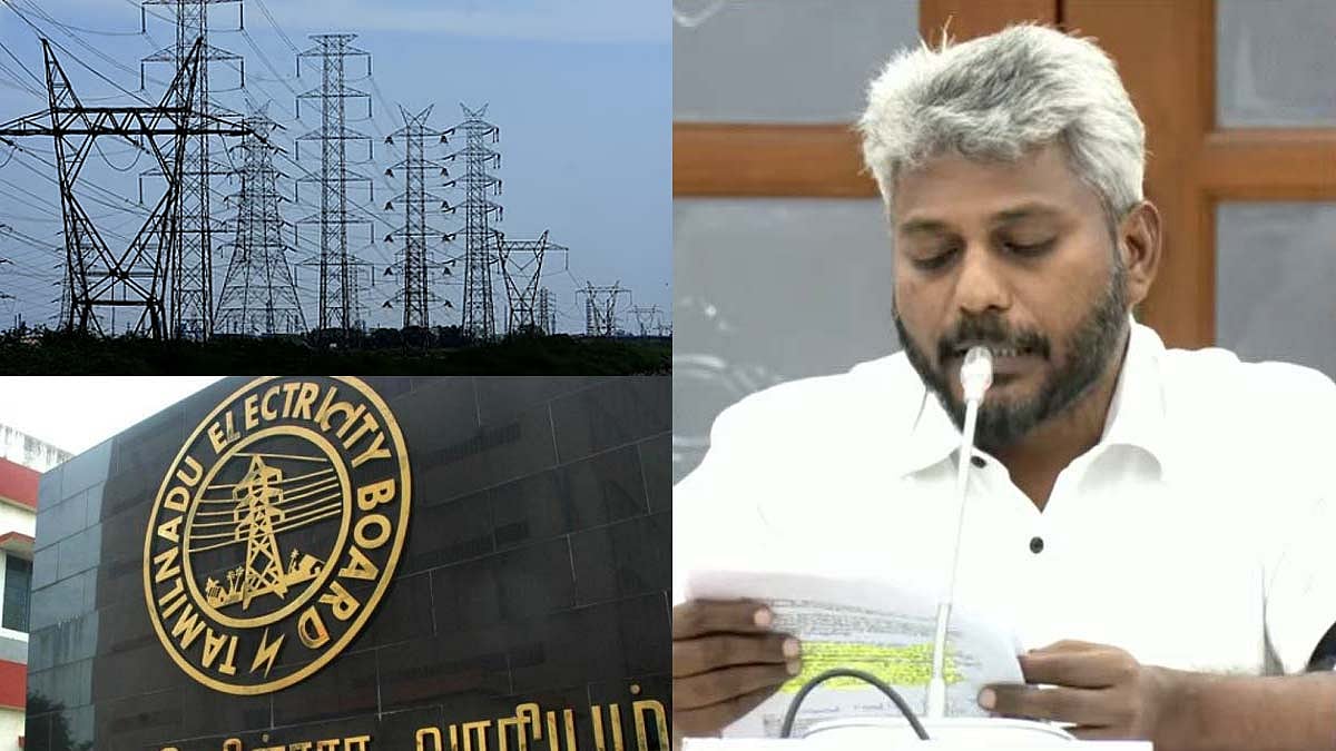 தமிழ்நாடு மின்வாரியக் குழுமம் ரூ. 2.47 லட்சம் கோடி கடனில் உள்ளது: நிதியமைச்சர் மரிய வில்சன் தகவல்