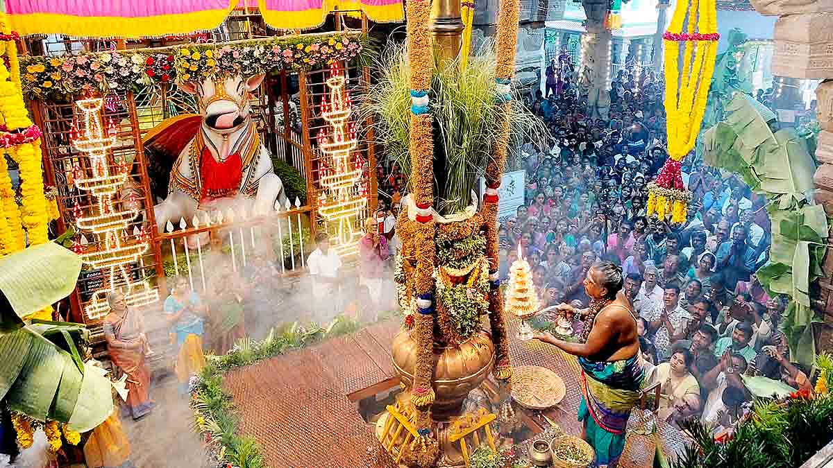 நெல்லையப்பர் கோவில் ஆனிப்பெருந்திருவிழா கொடியேற்றம் - திரளான பக்தர்கள் சுவாமி தரிசனம்