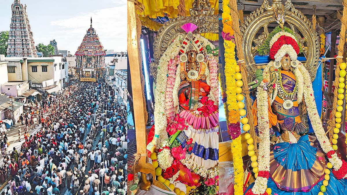 நெல்லையப்பர் கோவில் ஆனித்திருவிழா தேரோட்டம் கோலாகலம்: பல்லாயிரக்கணக்கான பக்தர்கள் வடம் பிடித்து இழுத்தனர்