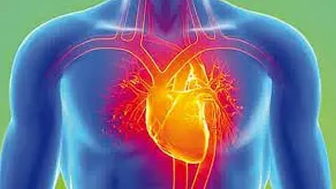 heart