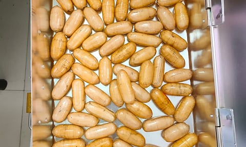 Chennai Airport Drug Smuggling Bust