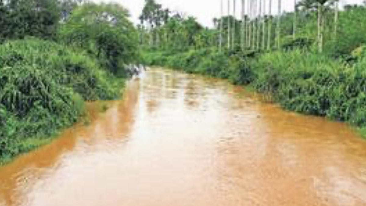 நீலகிரியில் கொட்டித்தீர்த்த கனமழை: ஆறுகளில் வெள்ளப்பெருக்கு- கரையோர மக்களுக்கு எச்சரிக்கை