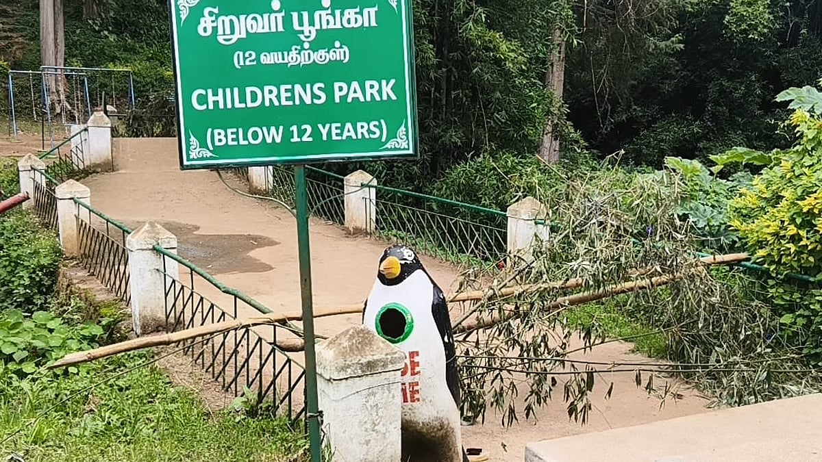 குன்னூர் சிம்ஸ் பூங்காவில் சிறுத்தை நடமாட்டம்