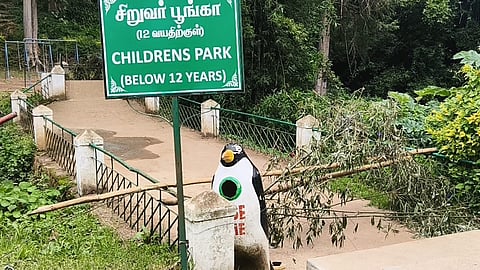 childrens park